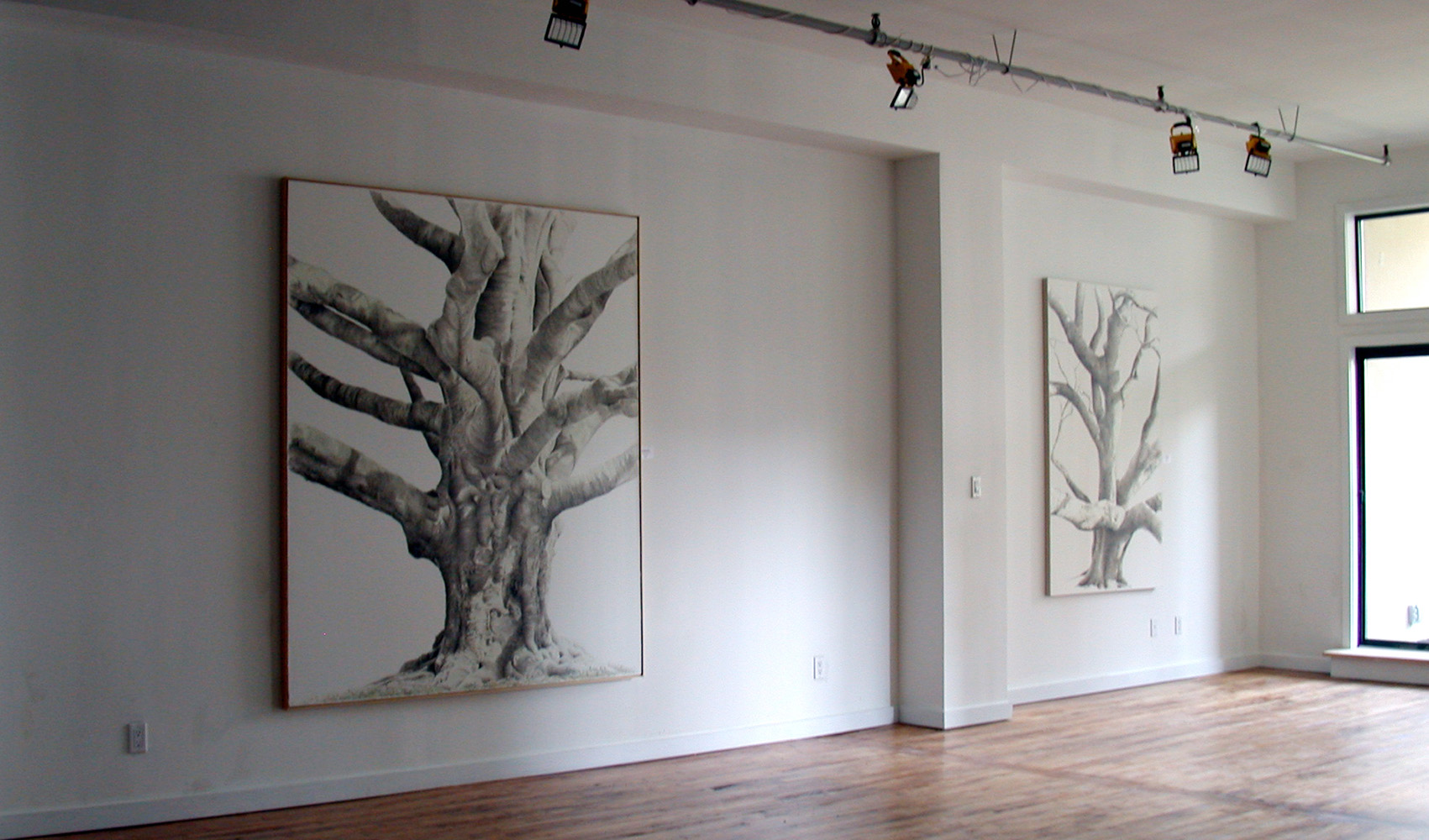 GREAT COPPER BEACH and GUMBO LIMBO, 2009, Gallery, Brooklyn NY