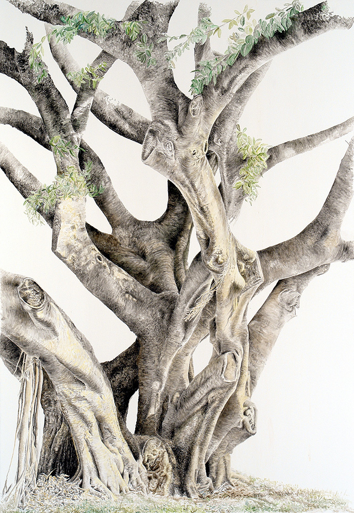 COUNCIL FIG, U. of N. Florida, Jacksonville - 72 x 51 in, 183 x 130cm